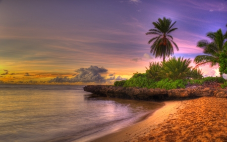 Beach Sunset - beach, trees, landscape, sunset, palm, nature, clouds, sea, sunrise