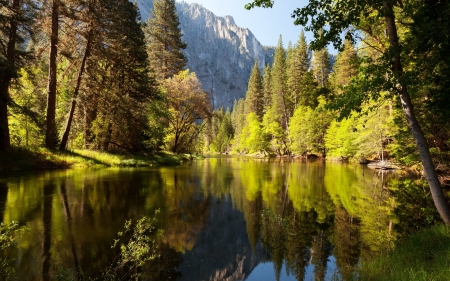 Lake Forest - trees, nature, green, lake, forest, mountains, reflection