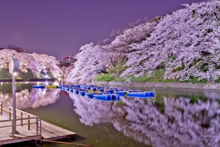 Winter Lake - boats, trees, nature, lights, resort, reflection