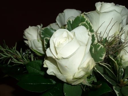 Wedding Roses - white, nature, wedding, roses, flowers, bouquet