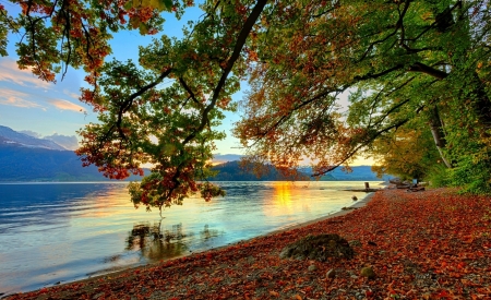 Autumn Lake - lake, trees, sunset, autumn