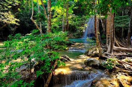 Forest waterfall - greenery, cascades, trees, waterfall, beautiful, forest