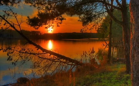 Lake Sunset - Trees, Sun, Lake, Nature