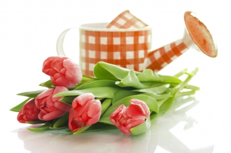 â™¥ - tulips, flowers, watercan, soft