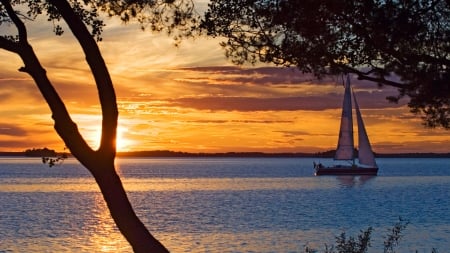 Sunset on the Beach - tree, sea, sail, boat