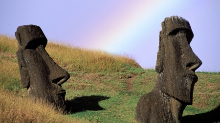 moai statues easter island - easter, statue, moai, island