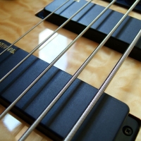 Bass Guitar