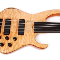 Bass Guitar