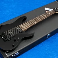 Electric Guitar