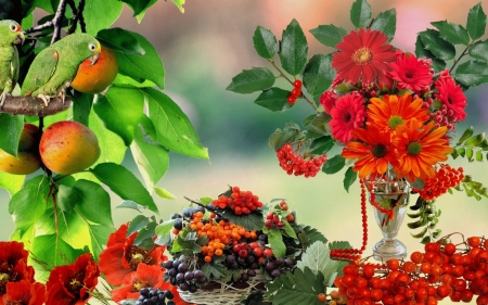 Still Life - flowers, berries, fruits, parrots