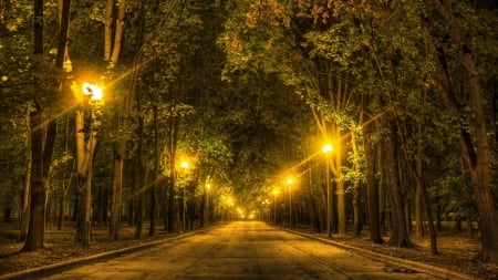 Silence of the night - beautiful, lights, road, night