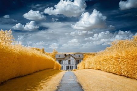 Golden Road - beautiful, house, fields, road