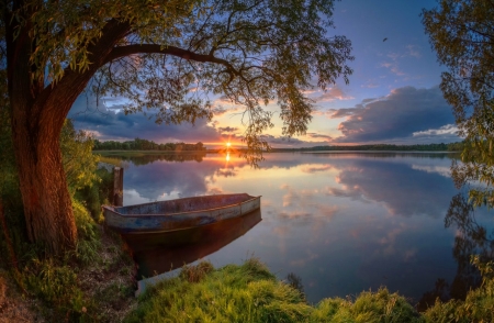 â™¥ - tree, nature, reflection, boat