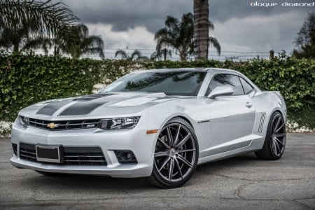 2010 Camaro SS - SS, Car, Camaro, 2010