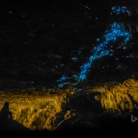 Waitomo Glowworm Caves New Zealand