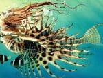 Lionfish Woman