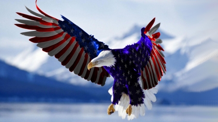 Eagle - eagle, animals, birds, america