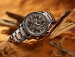 OMEGA Watch