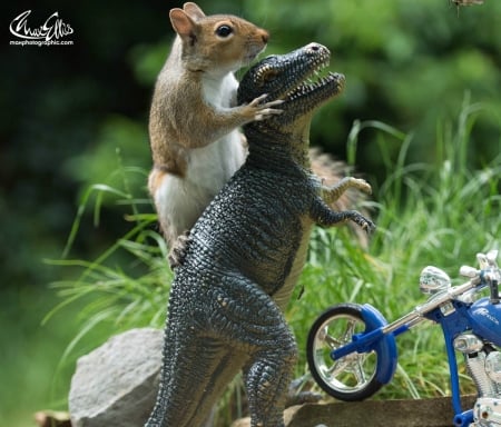 The next generation - veverita, squirrel, bike, next generation, toy, funny, creative, max ellis, dinosaur, situation, blue, animal, green