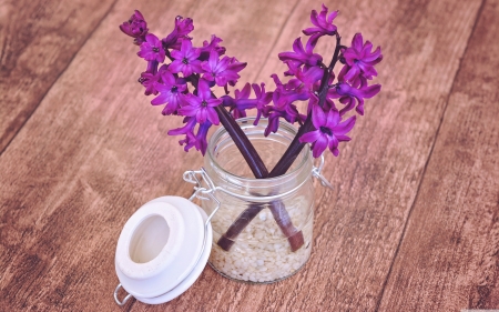 Still life - flowers, wood, hyacinth, sand, still life