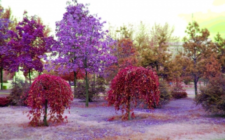 colorful leaves on park trees - colors, trees, park, autumn