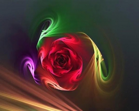 rose - abstract, rose, red, other