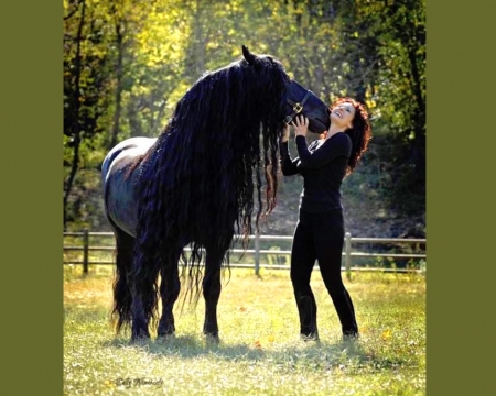 Friesan friend - black, girl, friends, horse