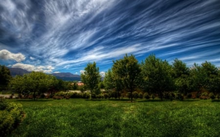 Beautiful Landscape - cloud, field, tree, nature