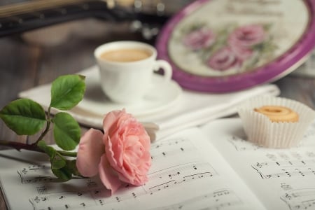 â™¥ - tea, notes, rose, soft