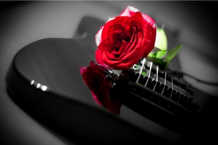 :) - rose, guitar, flower, red