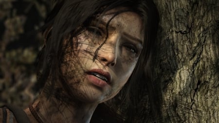 Tomb Raider (2013) - gaming, lara croft, video game, game, tomb raider, 2013