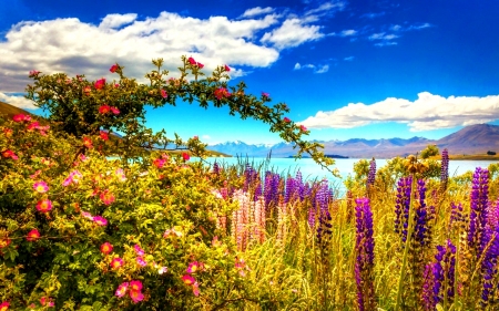 Flowers near River