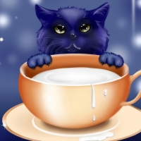 LITTLE KITTY