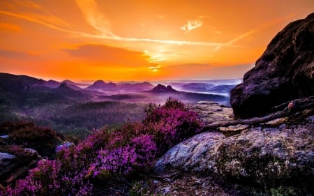 Mountain sunset - summer, beautiful, valley, mountain, wildflowers, sunset, viwew, fiery, sky, rocks