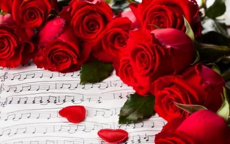 Romantic Red Roses - Red, Flowers, Romantic, Roses