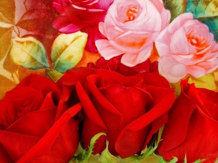 Delicate Roses - flowers, roses, pink, red