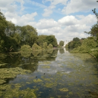 London Park St James s Park