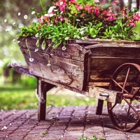 vintage wagon flower pot