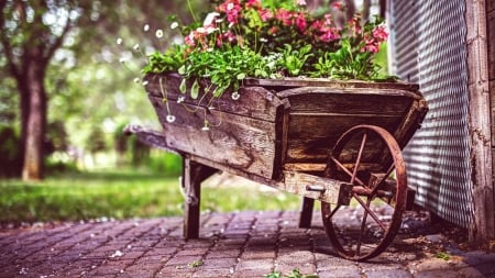 vintage wagon flower pot - flowers, wagon, stones, old