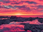 spectacular red sunset over rocky shore