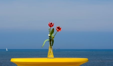 *✿* - vessel, tulipani, boat, sea, flowers, sailing, tulips, vaso, cielo, mare, a vela, barca, fiori, sky