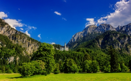 Neuschwanstein Castle, Bavaria - trees, summer, grass, forest, mountain, germany, Bavaria, neuschwanstein, castle, sky, rocks