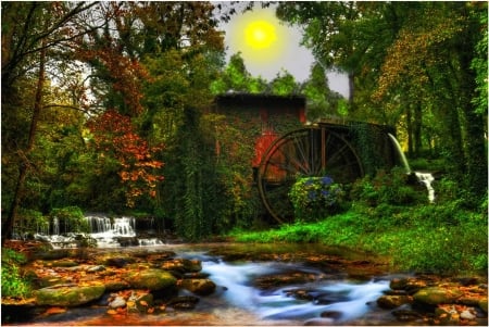 Cascaditas - color, bosque, vista, pasion