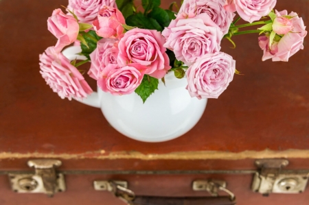 ♥ - roses, flowers, photography, soft