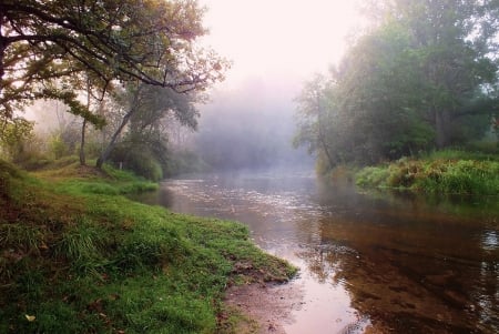 Morning. - landscapes, nature, summer, other