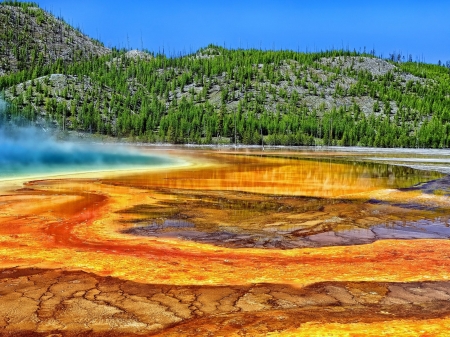 Grand Prismatic - nature, trees, mountain, yellow, fog, prismatic, spring