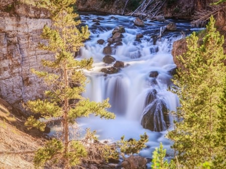 forest Falls - trees, nature, waterfall, forest, yelloestone