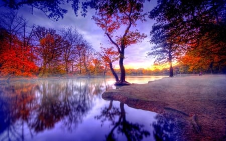 Autumn Lake - nature, autumn, lake, trees, reflection, forest