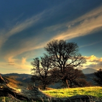 soft sky above landscape