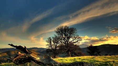 soft sky above landscape - clouds, trees, soft, log, skay, grass, mountains